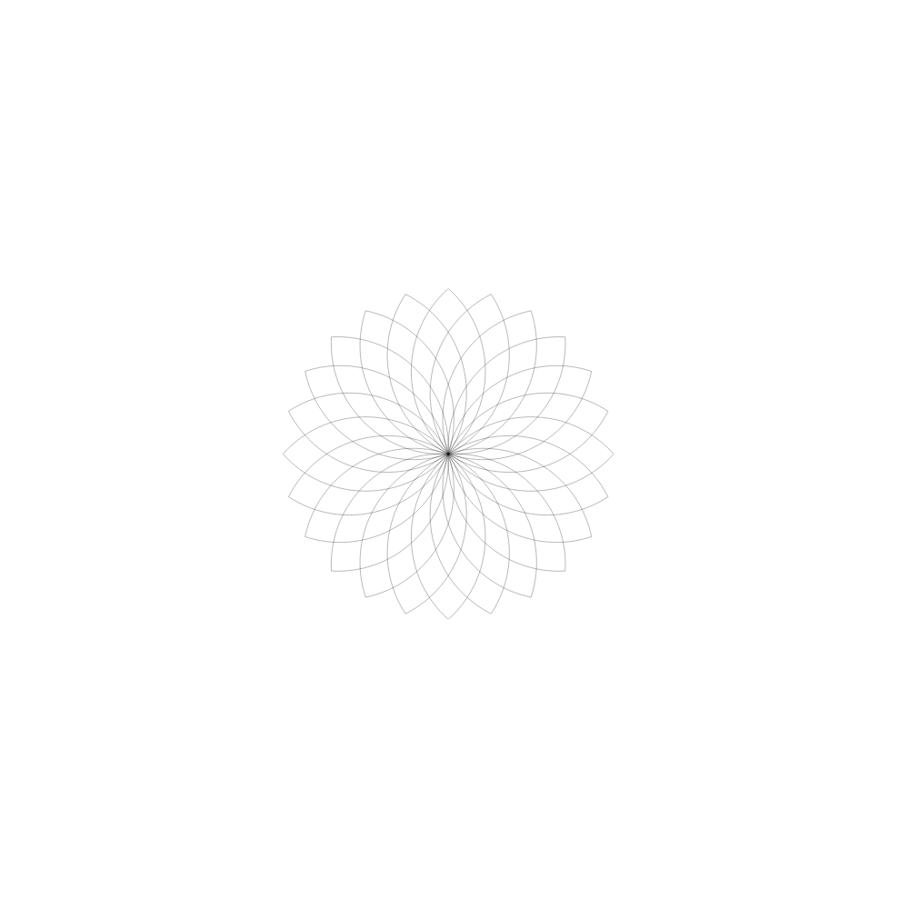 White Sunrise Logo